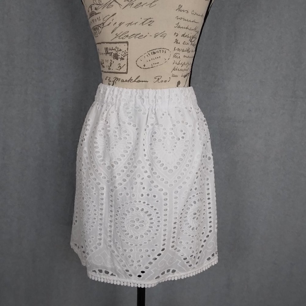 Rye Grass | NWT White Cotton Eyelet Lace Elastic Waist Skirt | Size 6 - Picture 5 of 10
